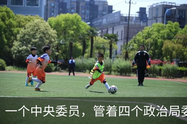一个中央委员，管着四个政治局委员，毛泽东这道任命把东北死棋走活了