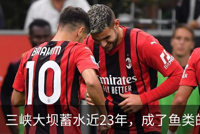 三峡大坝蓄水近23年，成了鱼类的天堂，如今库区最大鱼有多大？
