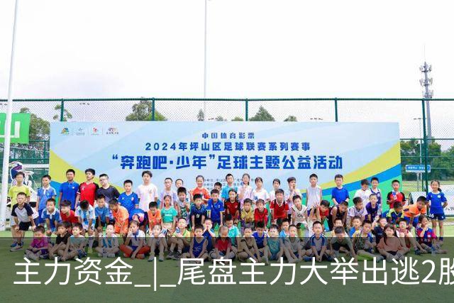 主力资金 | 尾盘主力大举出逃2股