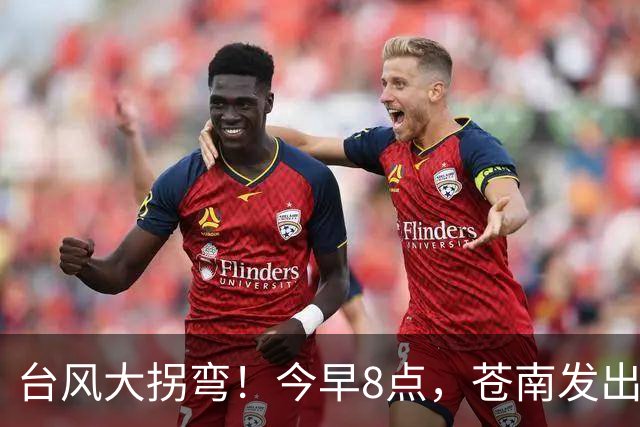 台风大拐弯！今早8点，苍南发出通知！