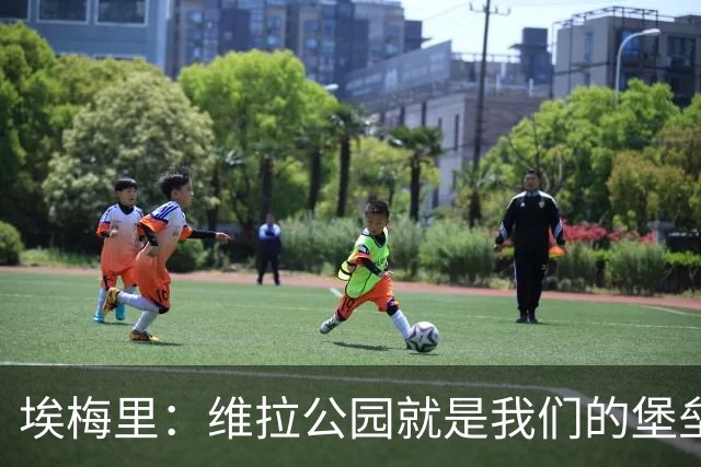 埃梅里：维拉公园就是我们的堡垒，球迷给了我们巨大能量