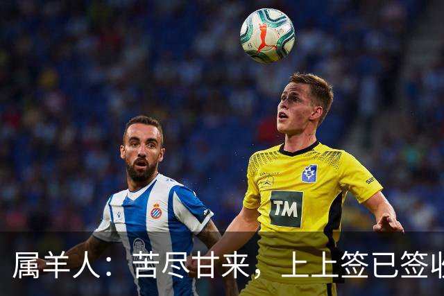 属羊人：苦尽甘来，上上签已签收，八十一难已过完，无灾无难
