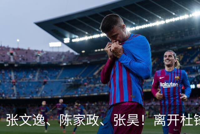 张文逸、陈家政、张昊！离开杜锋不会打球了，也没有上场时间了