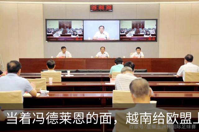 当着冯德莱恩的面，越南给欧盟上了一课：这就是“中国力量”