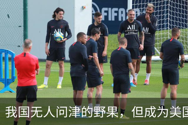 我国无人问津的野果，但成为美国人的心头宝，60元1斤供不应求？