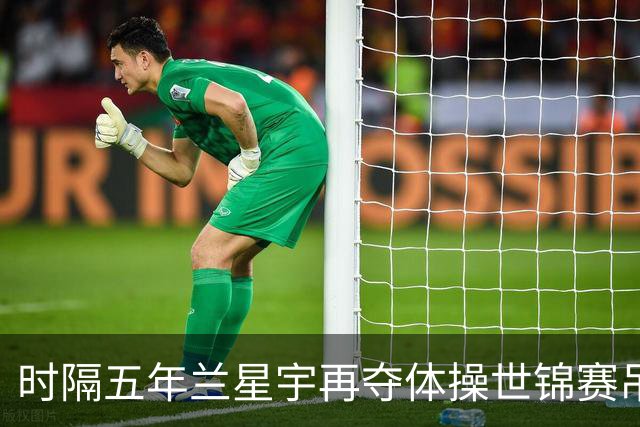 时隔五年兰星宇再夺体操世锦赛吊环冠军