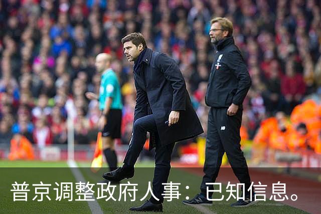 普京调整政府人事：已知信息。