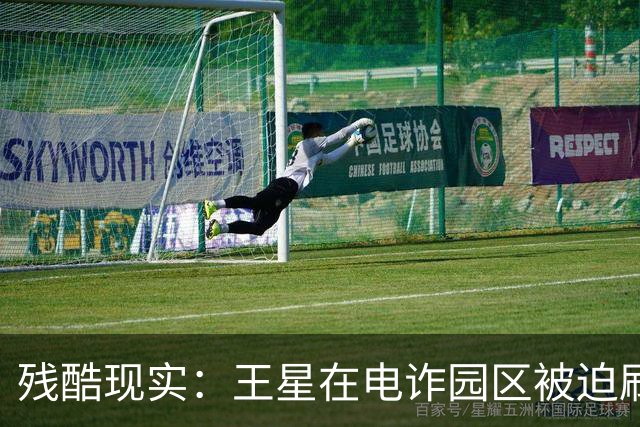残酷现实：王星在电诈园区被迫刷脸借贷，被救1年多，仍分期还钱