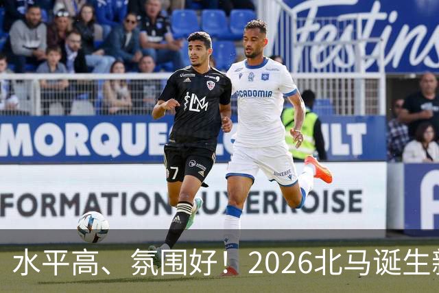 水平高、氛围好！2026北马诞生新纪录，赛事组织获选手认可