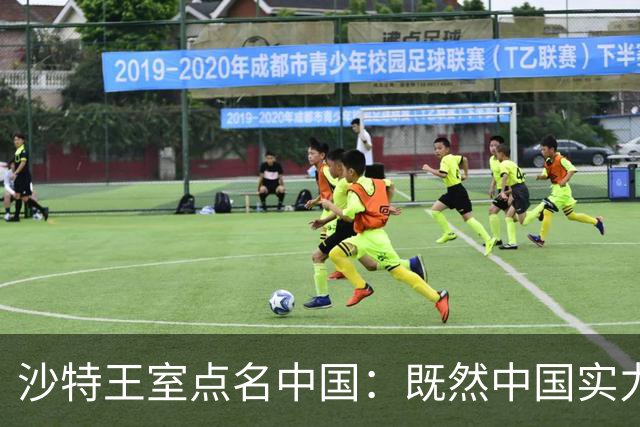 沙特王室点名中国：既然中国实力这么强，能不能出个面帮沙特一把