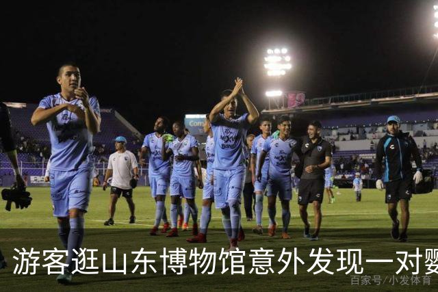 游客逛山东博物馆意外发现一对鹦鹉木雕神似奶龙，体态圆润颜色清澈，馆方：是旧时泰山旅店吸引香客的招幌