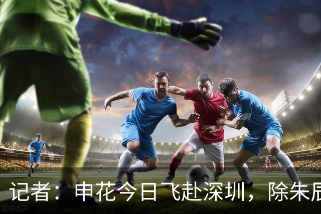 记者：申花今日飞赴深圳，除朱辰杰盖伊等伤员外几乎全员出征